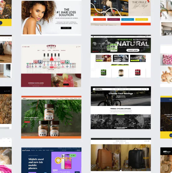 Shopify Pro Designer