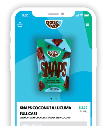 Shopify Pro Designer