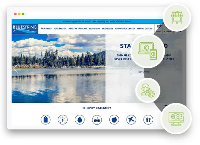 Shopify Pro Designer