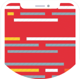 Shopify Pro Designer