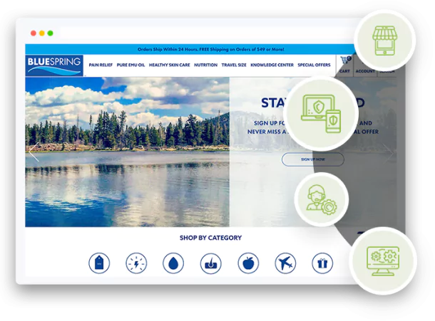 Shopify Pro Designer