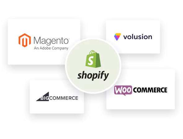 Shopify Pro Designer